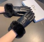 Dior Gloves In Black