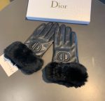 Dior Gloves In Black