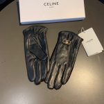 Celine Triomphe Gloves In Black