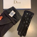 Dior Gloves In Black