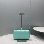 Celine Triomphe Shoulder Bag Mint Green For Women 8in/20cm