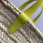 Celine Teen Triomphe Celine Classic Panier In Palm Leaves And Lizard Yellow For Women 8in/20cm 194004EH4.11CT