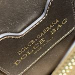 Dolce & Gabbana small Devotion Bag Bass For Women 19cm/ 7.5inches