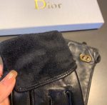 Dior Gloves In Black