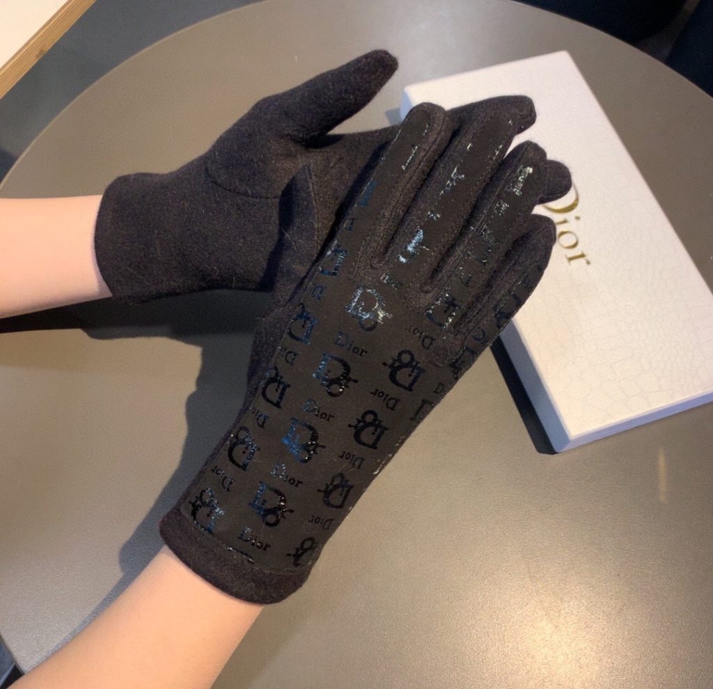 Dior Gloves In Black