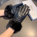 Dior Gloves In Black