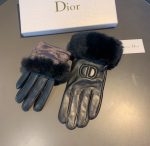 Dior Gloves In Black