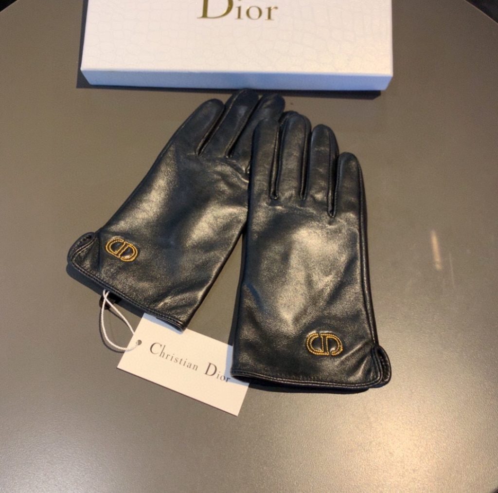 Dior Gloves In Black