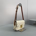 Celine Triomphe Shoulder Bag In Triomphe Canvas White For Women 8in/20cm 194142CUZ.01BC