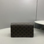 Celine Wallet On Strap In Triomphe Canvas Brown For Women 8in/20cm 10D852CG9.04LU