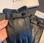 Dior Gloves In Black