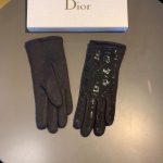 Dior Gloves In Black