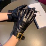 Dior Gloves In Black