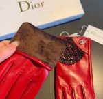 Dior Gloves In Red