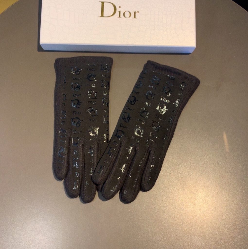 Dior Gloves In Black