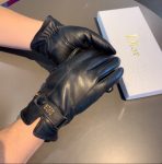 Dior Gloves In Black