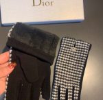 Dior Gloves In White