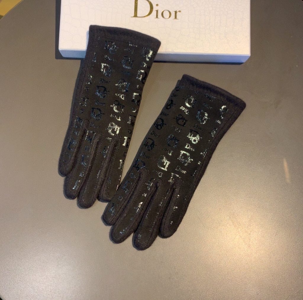 Dior Gloves In Black