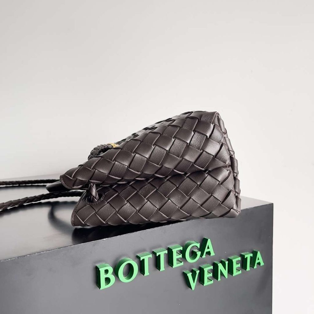 Bottega-Veneta-Small-EastWest-Andiamo-18