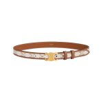 Celine Medium Triomphe Belt For Women- 45B422AES.01BC