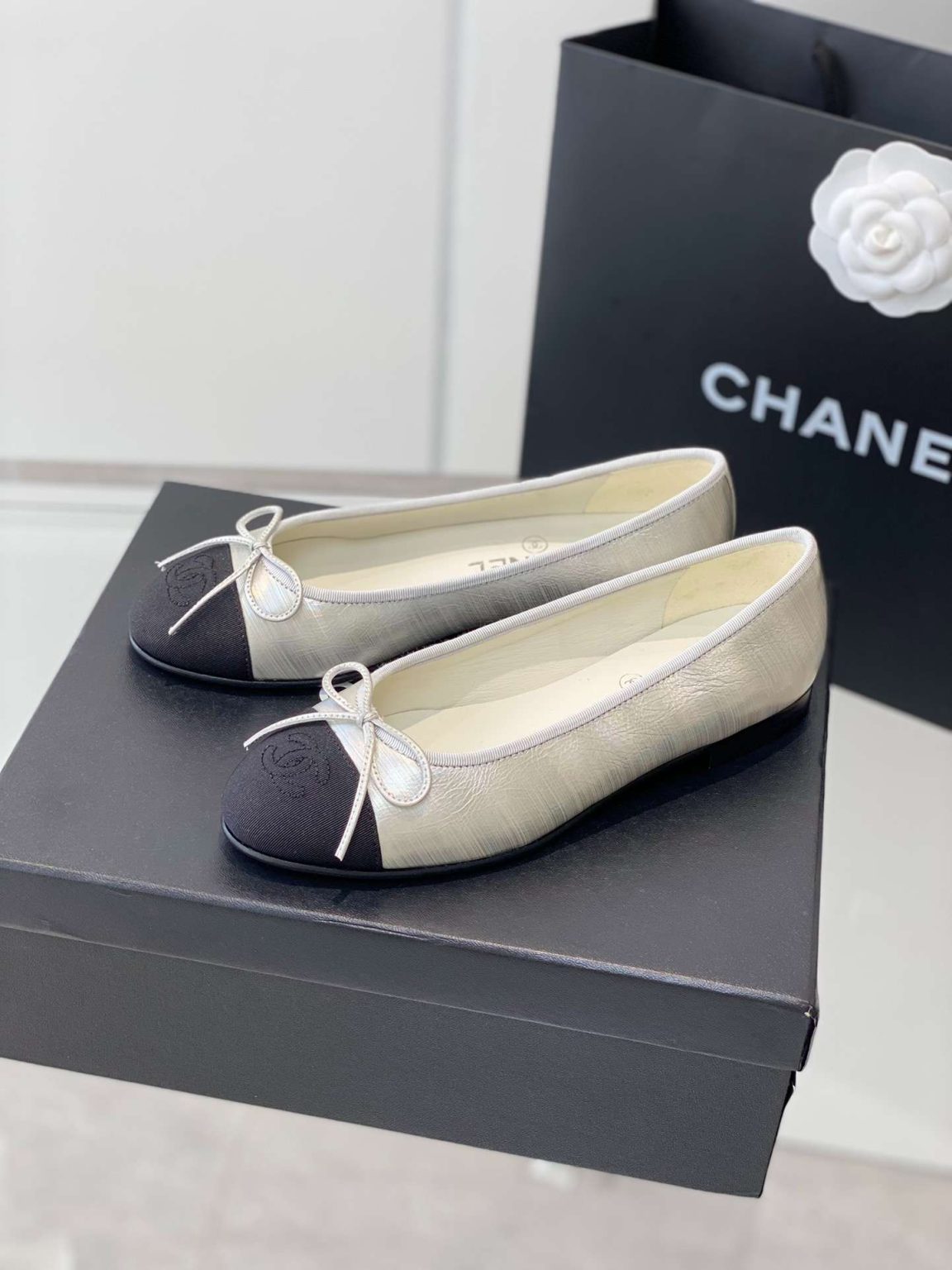 Chanel Ballet Flats Silver For Women