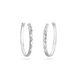 Chanel Coco Crush Hoop Earrings For Women- J12094