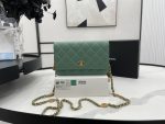 Wallet On Chain Green/Black/White For Women 7.4in/19cm AP3054