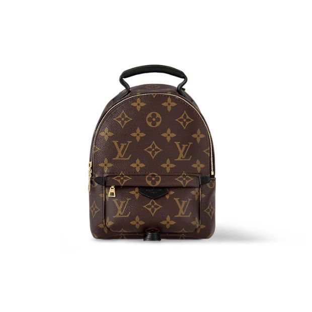 Louis Vuitton Palm Springs Mini Backpack For Women M44873- 8.7 in/ 22 cm