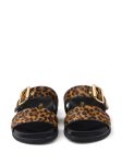 Prada Printed Slides Brown For Women 1XX715_XRY_F0151_F_D010