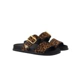 Prada Printed Slides Brown For Women 1XX715_XRY_F0151_F_D010