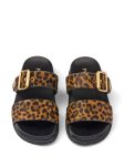 Prada Printed Slides Brown For Women 1XX715_XRY_F0151_F_D010