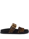 Prada Printed Slides Brown For Women 1XX715_XRY_F0151_F_D010