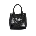 Small Raffia Tote Black For Women 22cm/ 8.7in – 1BG444_2A2T_F0002_V_OOO