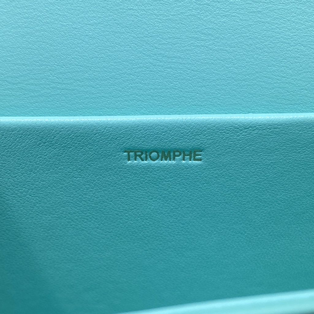 Celine Triomphe Shoulder Bag Mint Green For Women 8in/20cm