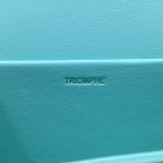 Celine Triomphe Shoulder Bag Mint Green For Women 8in/20cm