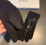 Dior Gloves In Black