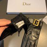 Dior Gloves In Black