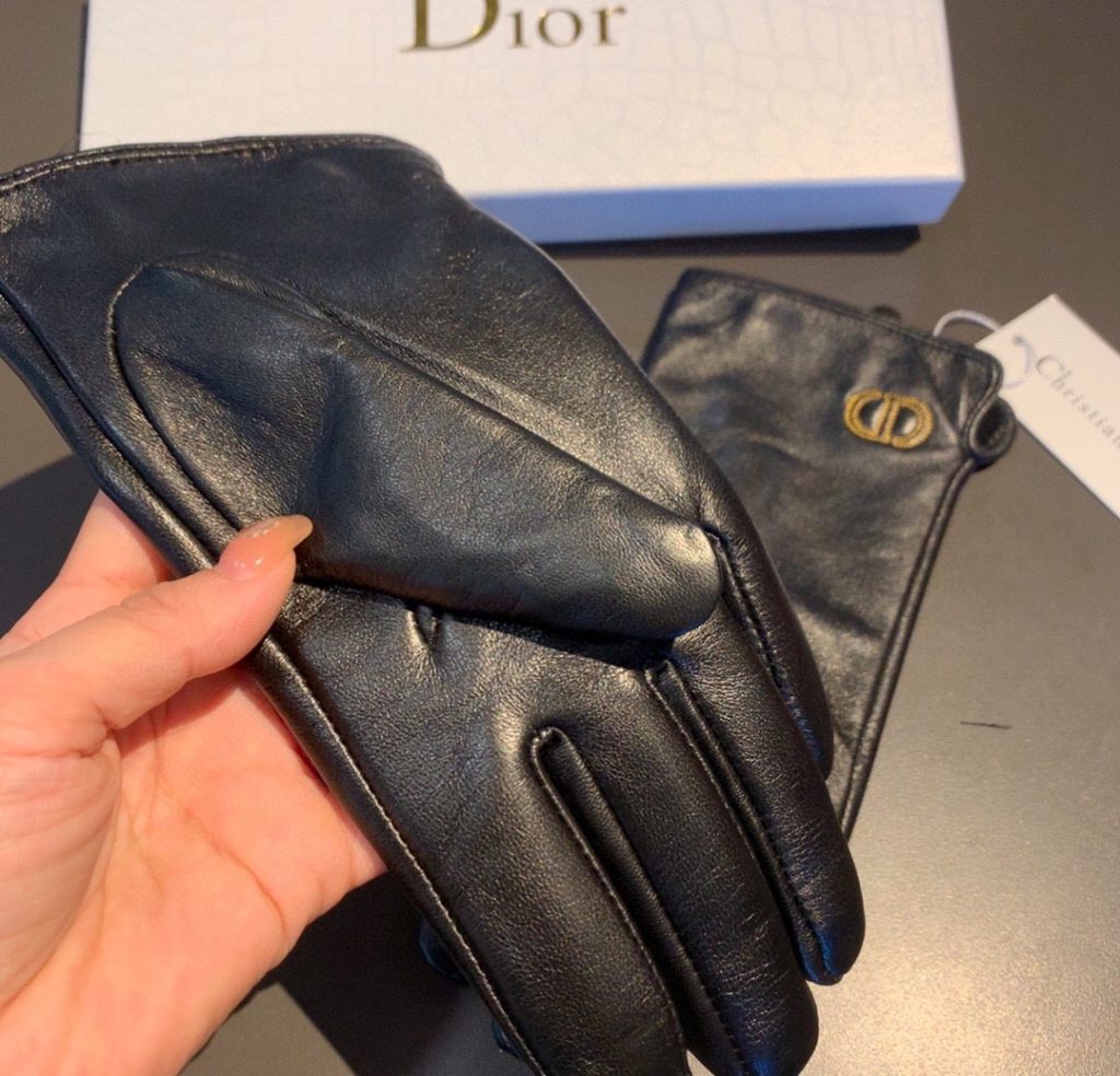 Dior Gloves In Black