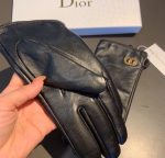 Dior Gloves In Black