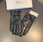 Dior Gloves In Black