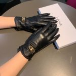 Celine Triomphe Gloves In Black