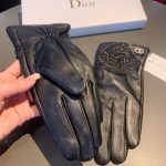 Dior Gloves In Black