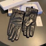 Dior Gloves In Black