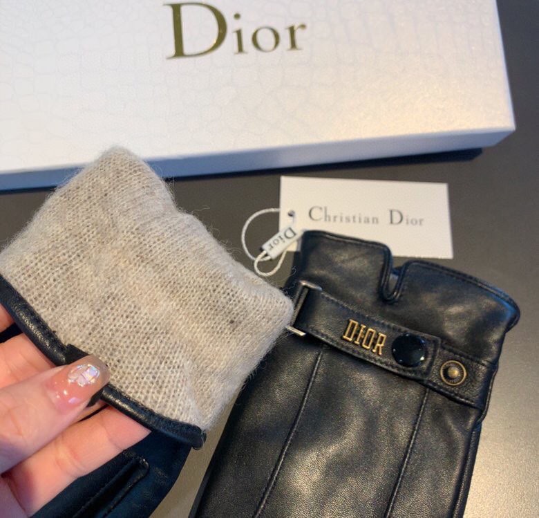 Dior Gloves In Black