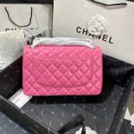 Travel Set: Louis Vuitton Horizon 55 Suitcase Pink + Chanel Large Classic Handbag Pink