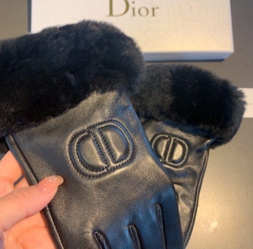 Dior Gloves In Black