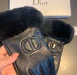 Dior Gloves In Black