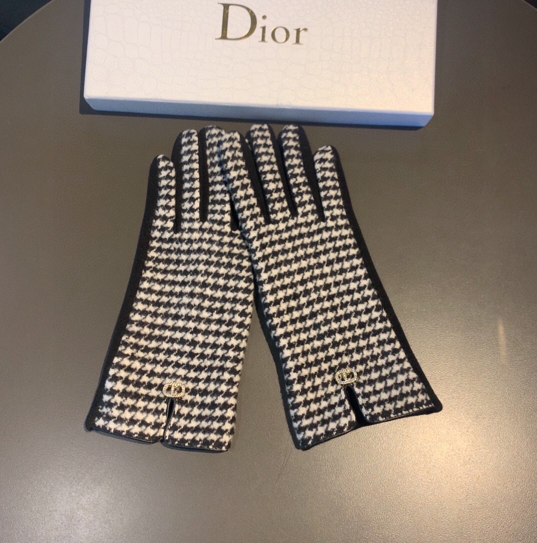 Dior Gloves In White