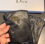 Dior Gloves In Black