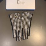 Dior Gloves In White